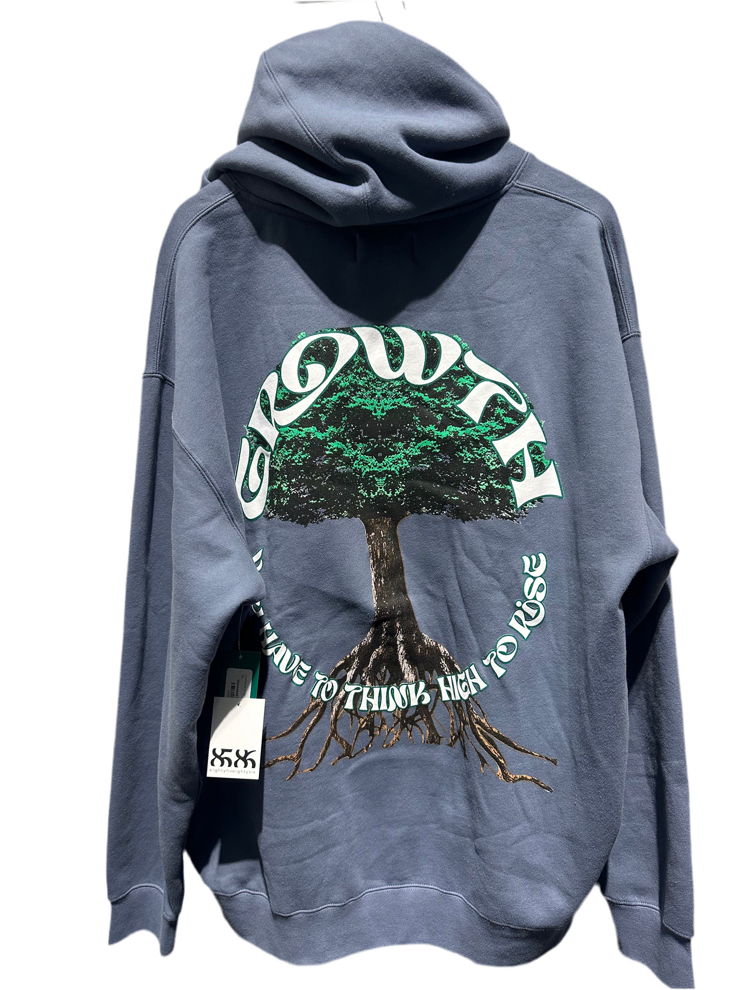 CLASS DISMISSED GROWTH HOODIE