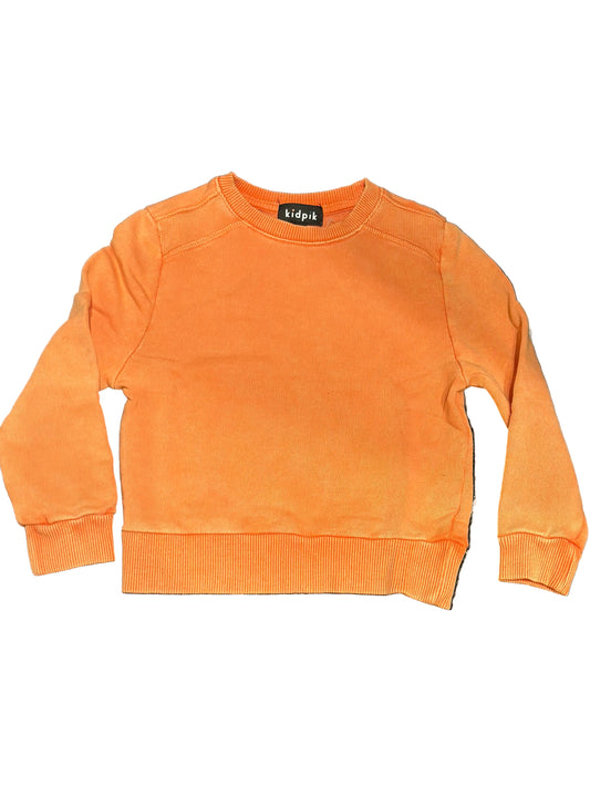 8586: KIDS GARMENT DYE CREWNECK SWEATSHIRT