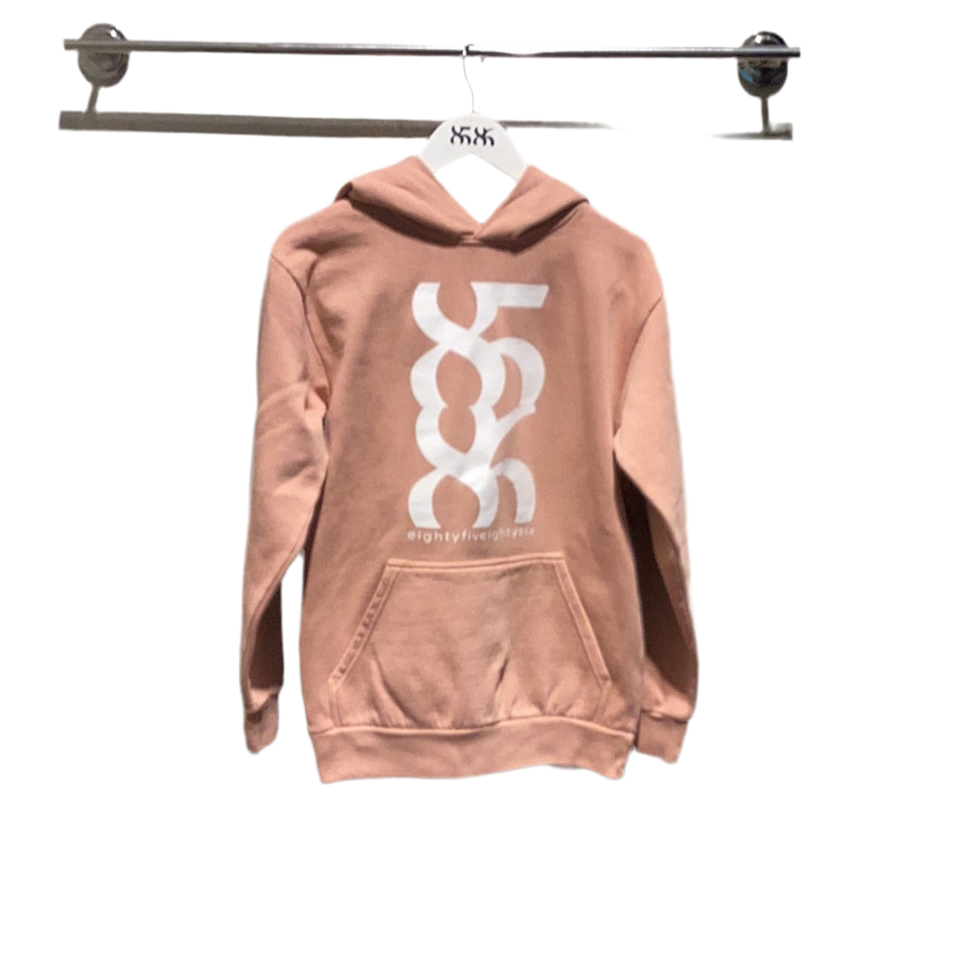 8586:UNISEX BIG LOGO HOODIE