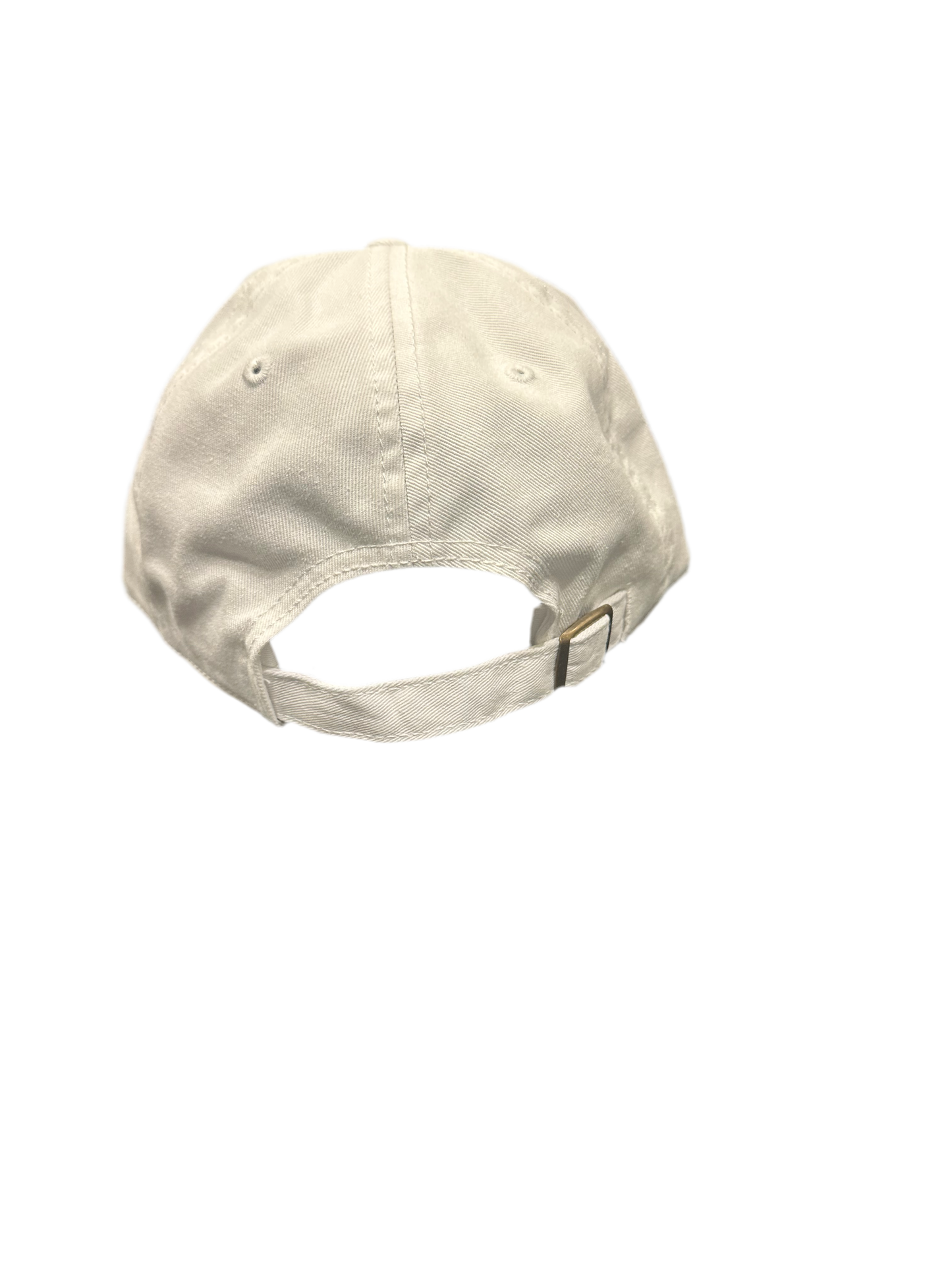 AMERICAN NEEDLE: COLORFUL COKE DAD HAT