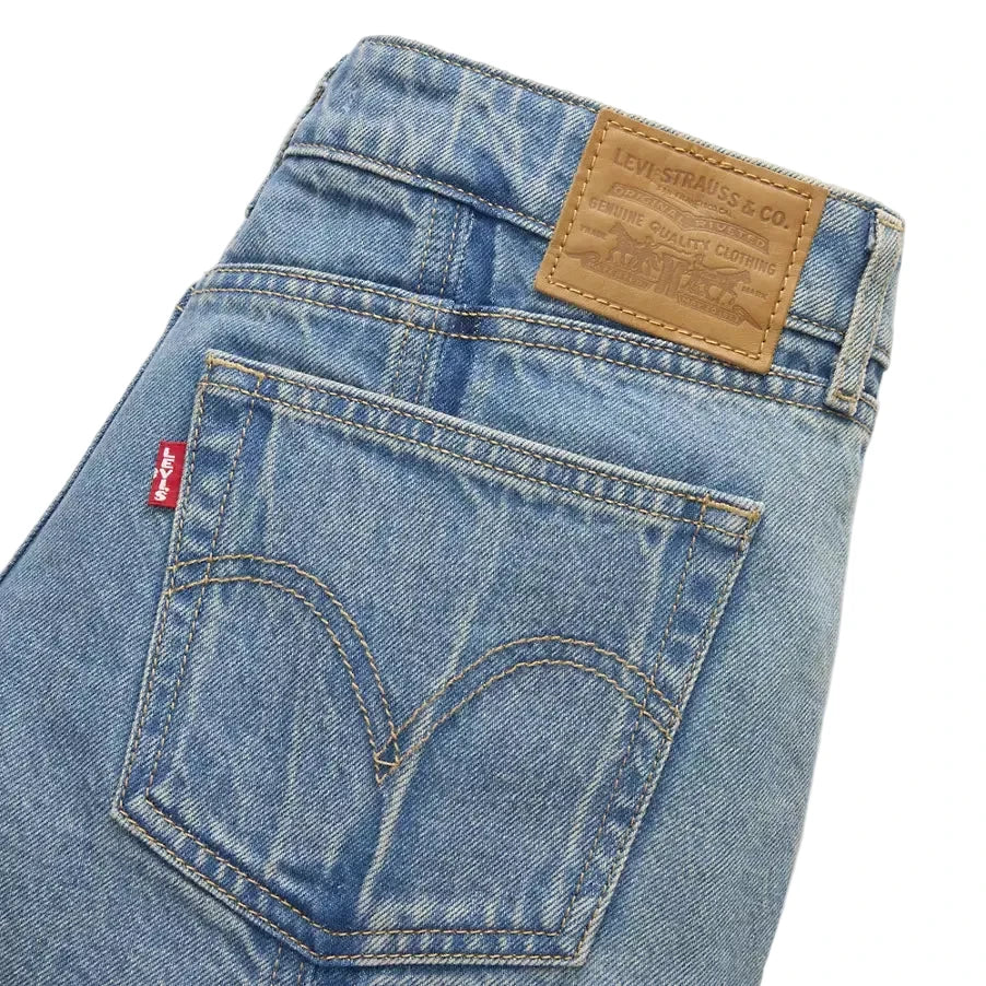 LEVIS: SHADOW WORK SHORTS
