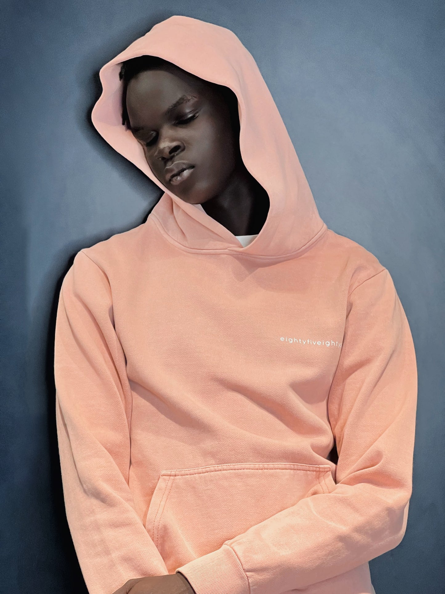 8586 mauve hoodie 